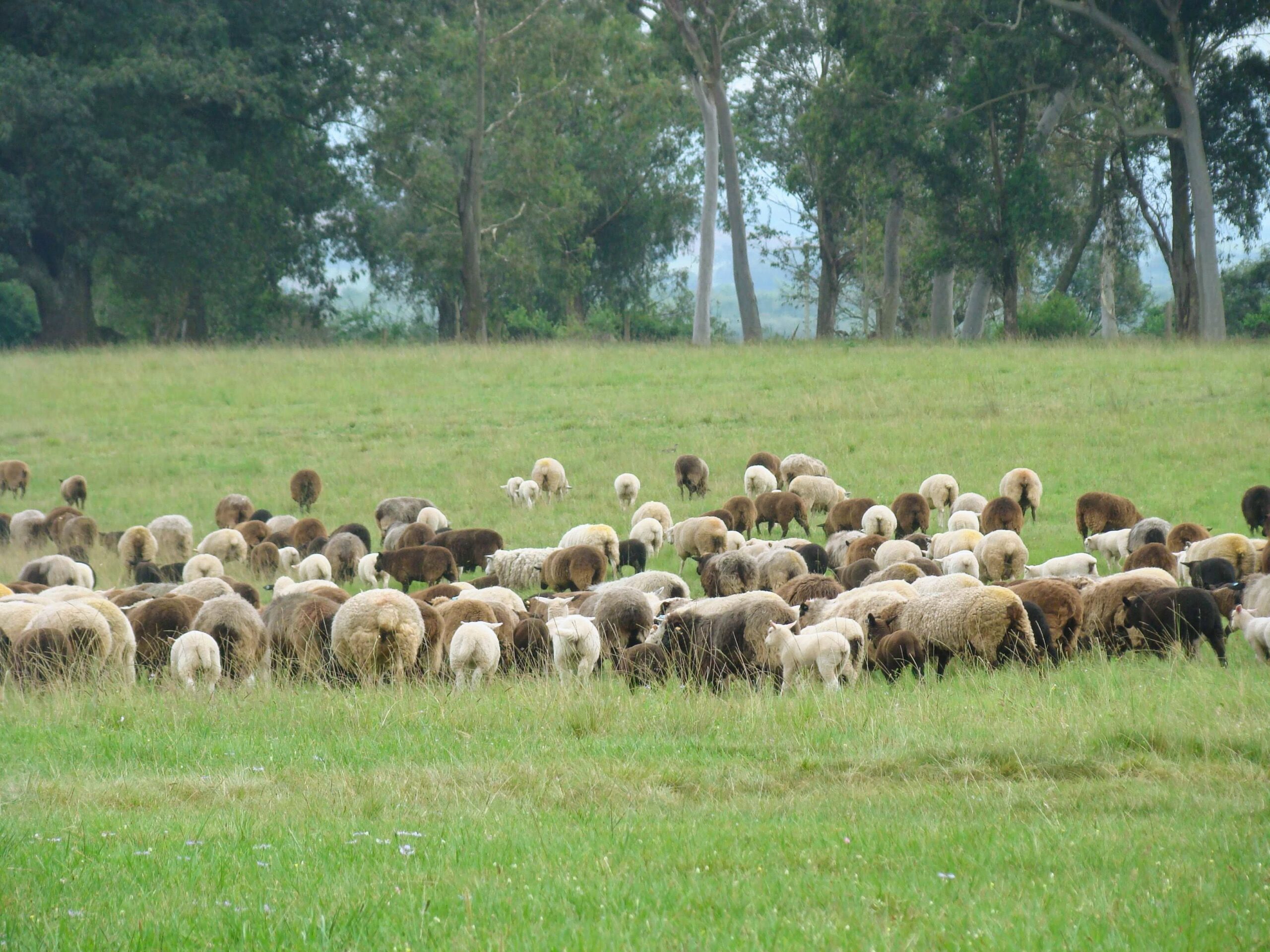 Fazenda Caixa Dágua